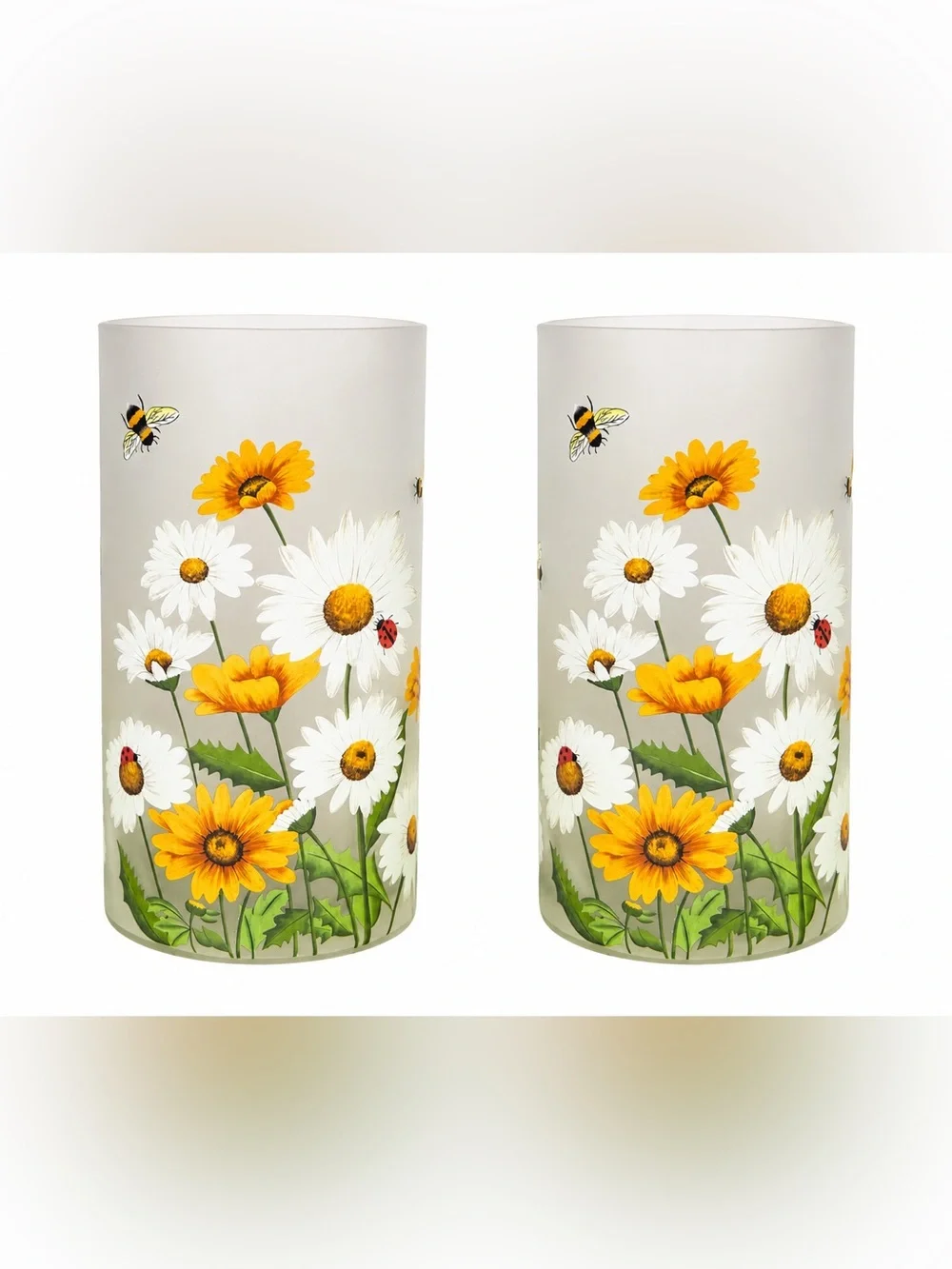 Valerie Parr Hill Illuminated Daisy Hurricane Set of 2 Floral LED Decor